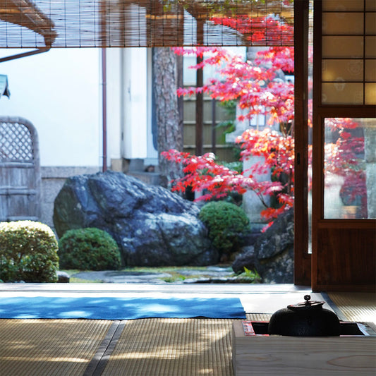 Finding Peace in the Seasons: Savoring Japanese Tea in Autumn
