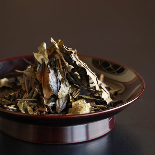 Hand-Roasted Kyo Bancha 100g Bag