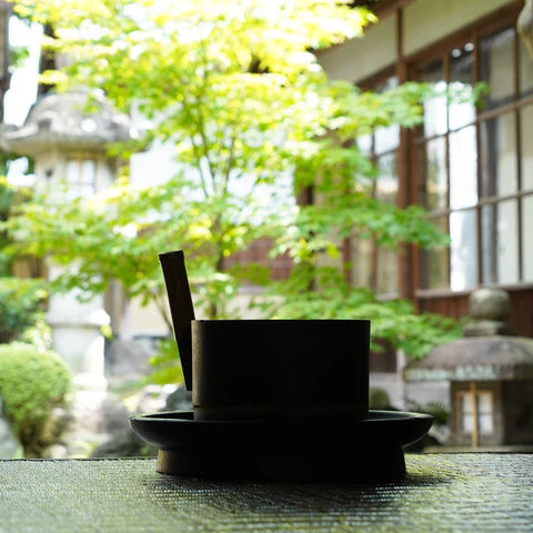 In the courtyard behind the tatami room...