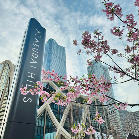 Cherry blossoms at Azabudai Hills!