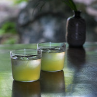 Cold Brew Gyokuro Tea Bag（5g × 8 bags）