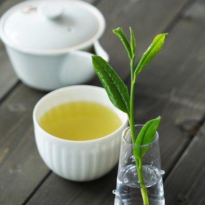 Nakamura Tokichi Shincha First Tea of the season in a Yunomi cup, displayed with fresh loose tea leaves.